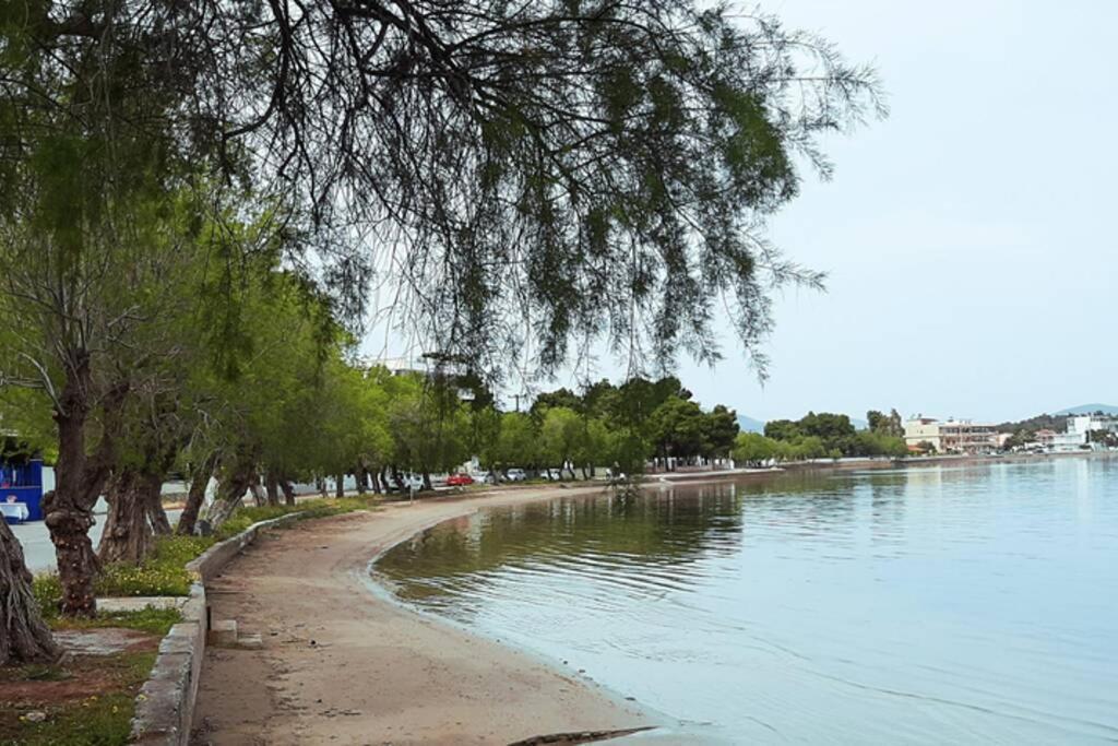 Πολυτελές Διαμέρισμα 3 Χαλκίδα-Παραλία Αυλίδος Paralia Avlidhos エクステリア 写真